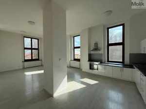 Pronájem bytu 3+kk, Most, Čsl. armády, 114 m2