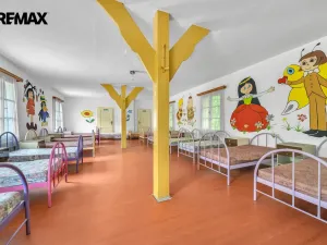 Pronájem ubytování, Vysoká Srbská, 900 m2