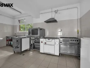 Pronájem ubytování, Vysoká Srbská, 900 m2
