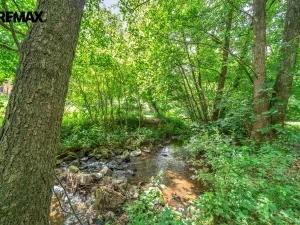 Pronájem ubytování, Vysoká Srbská, 900 m2