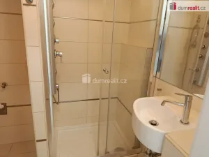 Pronájem bytu 2+kk, Praha - Bubeneč, Ve struhách, 45 m2