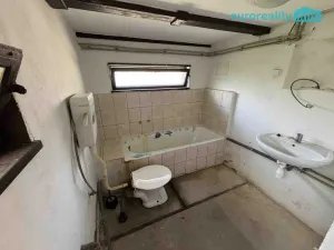 Prodej chaty, Zdemyslice, 67 m2