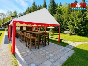 Prodej komerčního pozemku, Krucemburk - Staré Ransko, 21872 m2