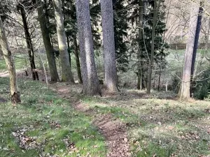 Prodej chaty, Velké Petrovice, 35 m2