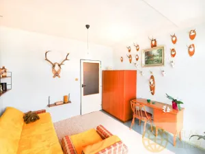 Prodej bytu 3+1, Kamenice nad Lipou, Masarykova, 65 m2