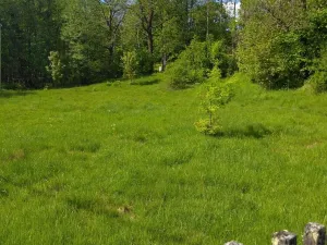 Prodej pozemku pro bydlení, Merklín, 1763 m2