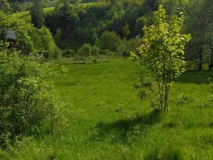 Prodej pozemku pro bydlení, Merklín, 1763 m2