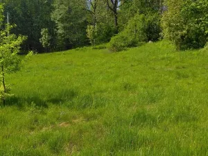 Prodej pozemku pro bydlení, Merklín, 1763 m2