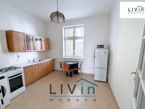 Pronájem bytu 1+1, Olomouc, Krakovská, 46 m2