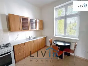 Pronájem bytu 1+1, Olomouc, Krakovská, 46 m2