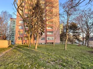 Pronájem bytu 1+1, Hodonín, Velkomoravská, 32 m2