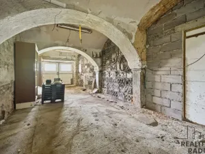 Prodej komerční nemovitosti, Holetín, 400 m2
