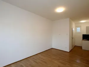 Pronájem bytu 1+kk, Pardubice - Rosice, generála Svobody, 22 m2