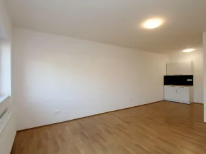 Pronájem bytu 1+kk, Pardubice - Rosice, generála Svobody, 29 m2