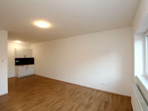 Pronájem bytu 1+kk, Pardubice - Rosice, generála Svobody, 29 m2