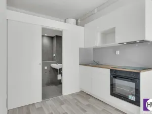 Prodej ubytování, Praha, Husitská, 30 m2