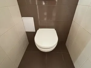 Pronájem bytu 1+kk, Praha - Nusle, Jaurisova, 35 m2