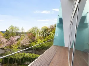 Pronájem bytu 6+kk a větší, Praha - Smíchov, Na Hřebenkách, 297 m2