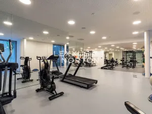 Pronájem bytu 6+kk a větší, Praha - Smíchov, Na Hřebenkách, 297 m2