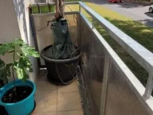 Prodej bytu 1+kk, Praha - Zbraslav, Elišky Přemyslovny, 35 m2