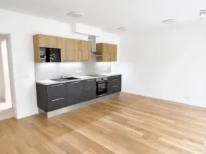 Pronájem bytu 2+kk, Praha - Vysočany, Pod Krocínkou, 60 m2
