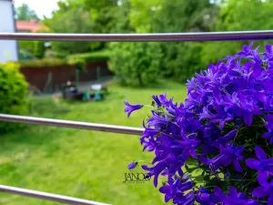Prodej bytu 3+kk, Kobylnice, U Splavu, 73 m2