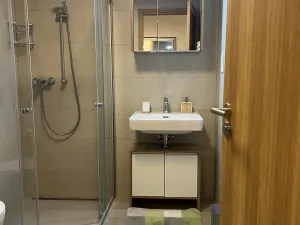 Pronájem bytu 2+kk, Plzeň - Východní Předměstí, Pallova, 46 m2
