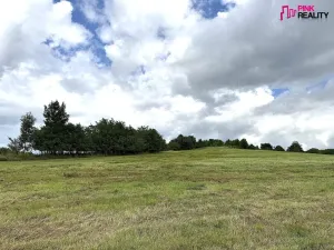 Prodej louky, Rychnov nad Kněžnou, 16663 m2