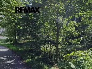 Prodej louky, Králíky, 3228 m2