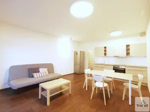 Pronájem bytu 1+kk, Praha - Košíře, Česká, 43 m2