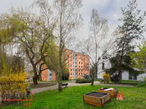 Pronájem bytu 2+kk, Praha - Hodkovičky, Pod lysinami, 41 m2