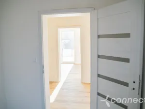 Prodej vícegeneračního domu, Klenovice, 286 m2