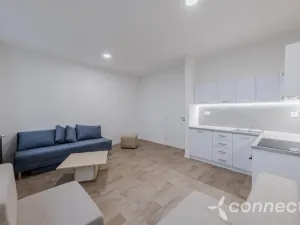 Pronájem bytu 1+kk, Přerov - Přerov I-Město, Husova, 30 m2