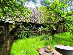 Prodej pozemku pro bydlení, Potštejn, 1 m2