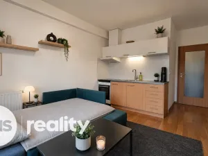 Pronájem bytu 1+kk, Opava - Kateřinky, Hálkova, 32 m2