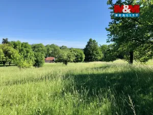 Prodej pozemku pro bydlení, Česká Skalice - Zlíč, 14291 m2