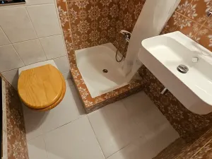 Pronájem rodinného domu, Praha - Dejvice, Krohova, 210 m2