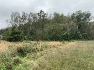 Dražba louky, Kostelec nad Černými lesy, 15764 m2