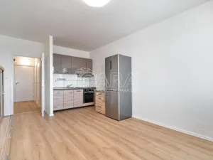 Pronájem bytu 1+kk, Ostrava - Moravská Ostrava, 30. dubna, 26 m2