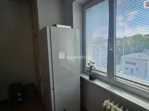 Pronájem bytu 2+1, Praha - Dejvice, Generála Píky, 54 m2