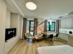 Pronájem bytu 1+kk, Rožnov pod Radhoštěm, Nerudova, 33 m2
