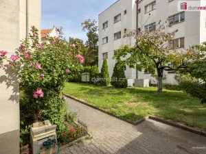 Prodej bytu 2+1, Praha - Karlín, Pernerova, 44 m2