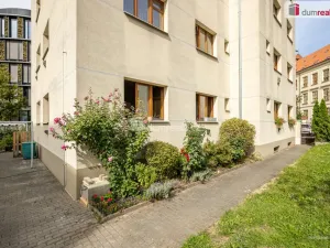 Prodej bytu 2+1, Praha - Karlín, Pernerova, 44 m2