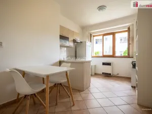 Prodej bytu 2+1, Praha - Karlín, Pernerova, 44 m2