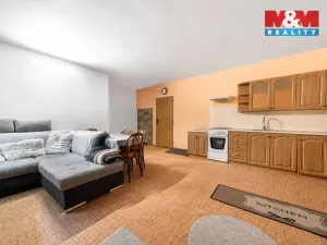 Prodej komerční nemovitosti, Nová Role - Mezirolí, 795 m2