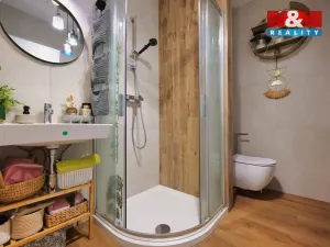 Prodej bytu 3+kk, Rostěnice-Zvonovice - Rostěnice, 53 m2