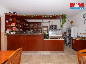 Prodej ubytování, Brandýs nad Orlicí, Husova, 340 m2