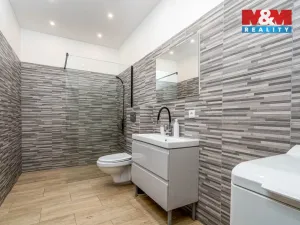 Prodej činžovního domu, Mařenice, 1190 m2