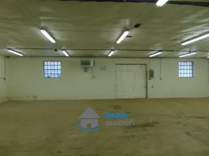 Pronájem výrobních prostor, Skuteč, Zvěřinova, 164 m2