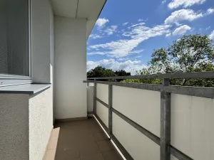 Prodej bytu 1+1, Olomouc - Nová Ulice, I. P. Pavlova, 31 m2